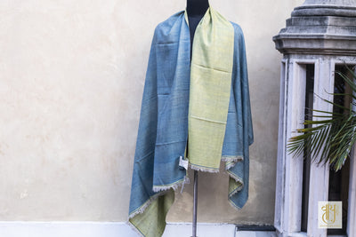 Pale Blue And Pale Green Reversible Pashmina Sha Vayu 